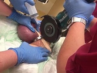 ¿Cómo no quitar el anillo del martillo A!