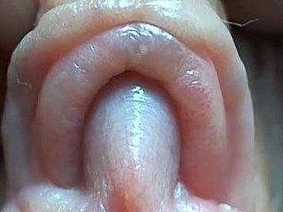 Clit zeer close-up