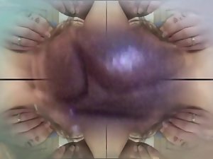 Visvoer voor pussis