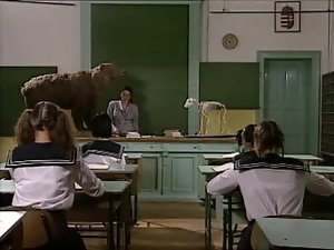 汚いイタリア語学校