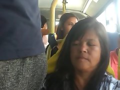 बल्ज का अवलोकन