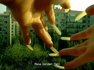 Leng foreign AGN (various clips)