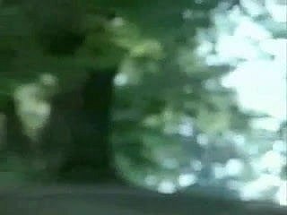 Prototype Italian (French Dub)