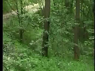 Jebacina na Avali serbo-Srpski By KRMANJONAC