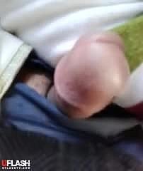 Hijabi Bus Shred